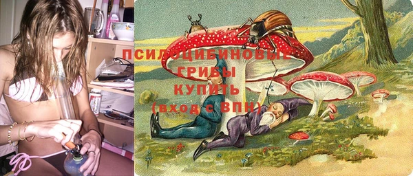 тгк Беломорск