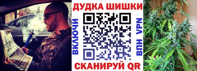 Бошки марихуана планчик  omg зеркало  Невель 